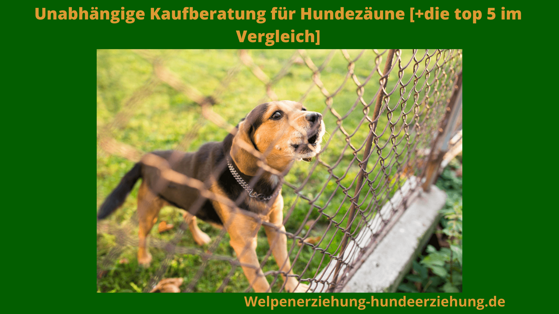 YOUxuan Haushalt Hund Isolation TüR Tragbare Klapp Haustier Isolation Zaun Hund Barriere Sicherheit Zaun Netz