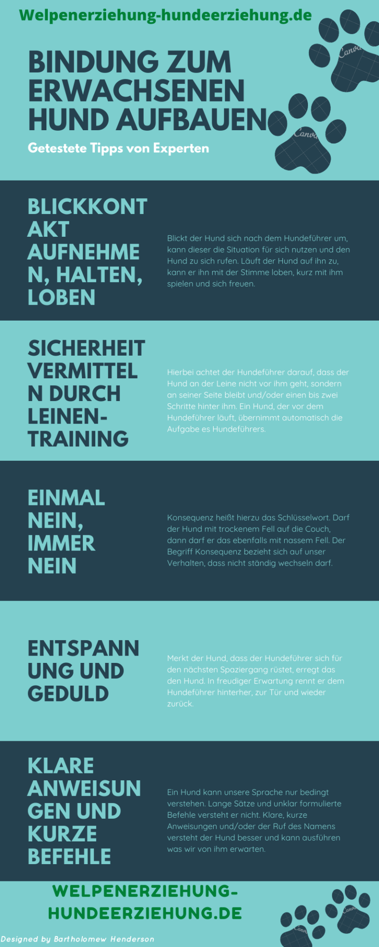 Bindung zum erwachsenen Hund aufbauen 6 hilfreiche Tipps, um das