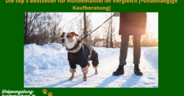 Hundemantel Winter Test