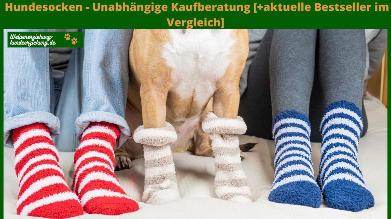 2 Paar Anti-Rutsch Socken Für Hunde – Pfotenschutz Für Drinnen Auf Parkett & Fliesen