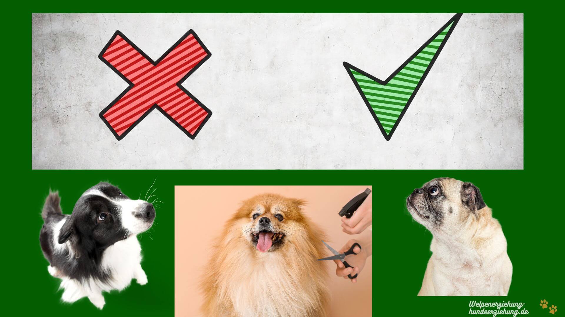 Hundeschere Vorteile Nachteile