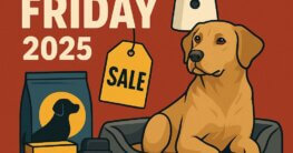 black friday angebote hund