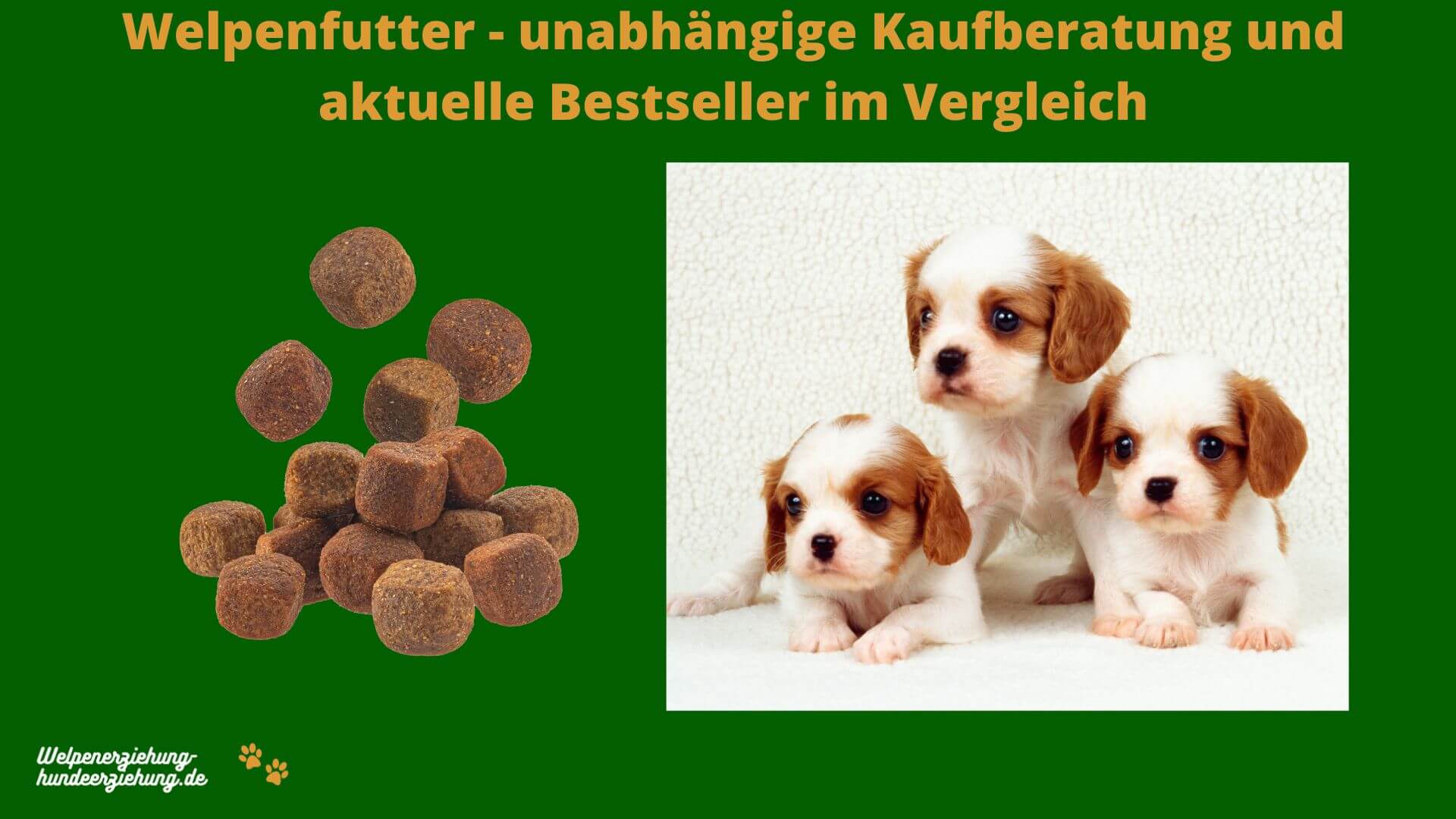 Welpenfutter Test